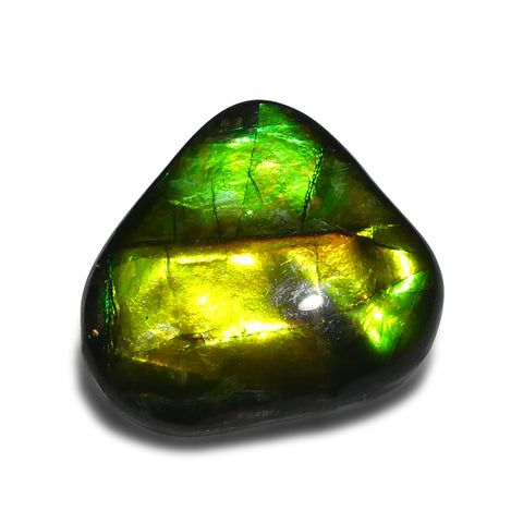 10.09ct Freeform A+ 3 Color Green, Yellow, Blue Ammolite from Alberta, Canada