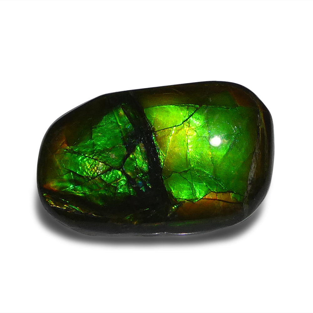 Ammolite 15.28 cts 23.65 x 15.01 x 5.17 Freeform Green, Yellow, Blue  $175