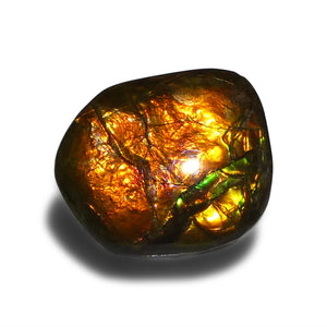 Ammolite 10.88 cts 17.86 x 15.21 x 4.66 Freeform Orange, Yellow, Green  $175