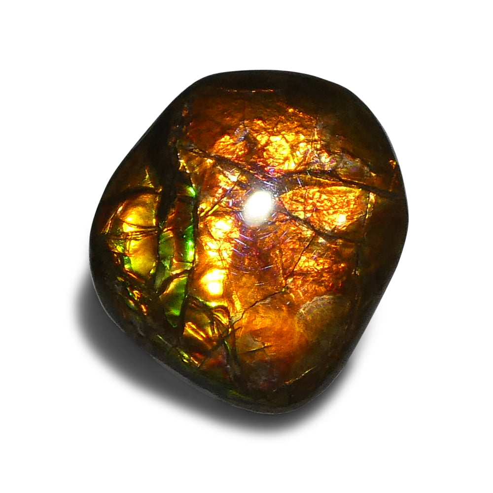 10.88ct Freeform A+ 3 Color Orange, Yellow, Green Ammolite from Alberta, Canada - Skyjems Wholesale Gemstones