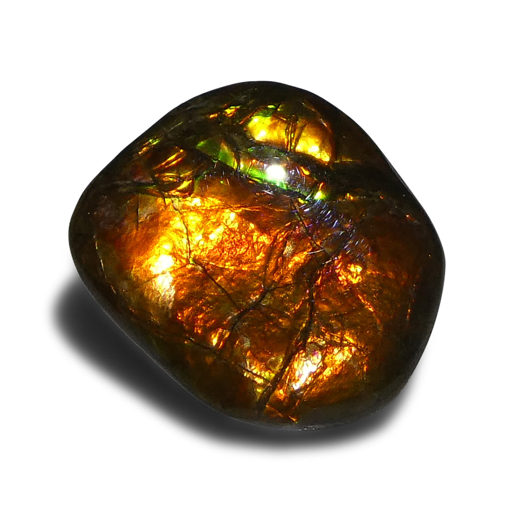 10.88ct Freeform A+ 3 Color Orange, Yellow, Green Ammolite from Alberta, Canada - Skyjems Wholesale Gemstones