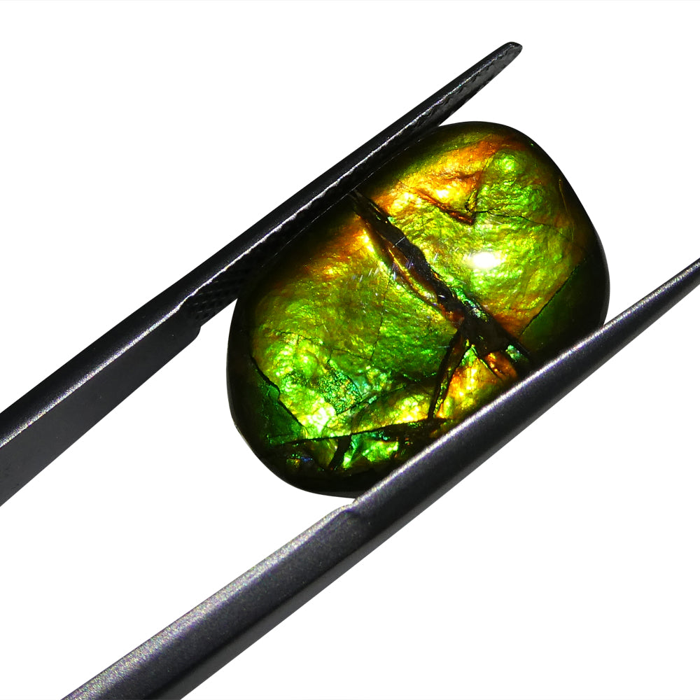 9.94ct Freeform A+ 3 Color Green, Yellow, Orange Ammolite from Alberta, Canada - Skyjems Wholesale Gemstones