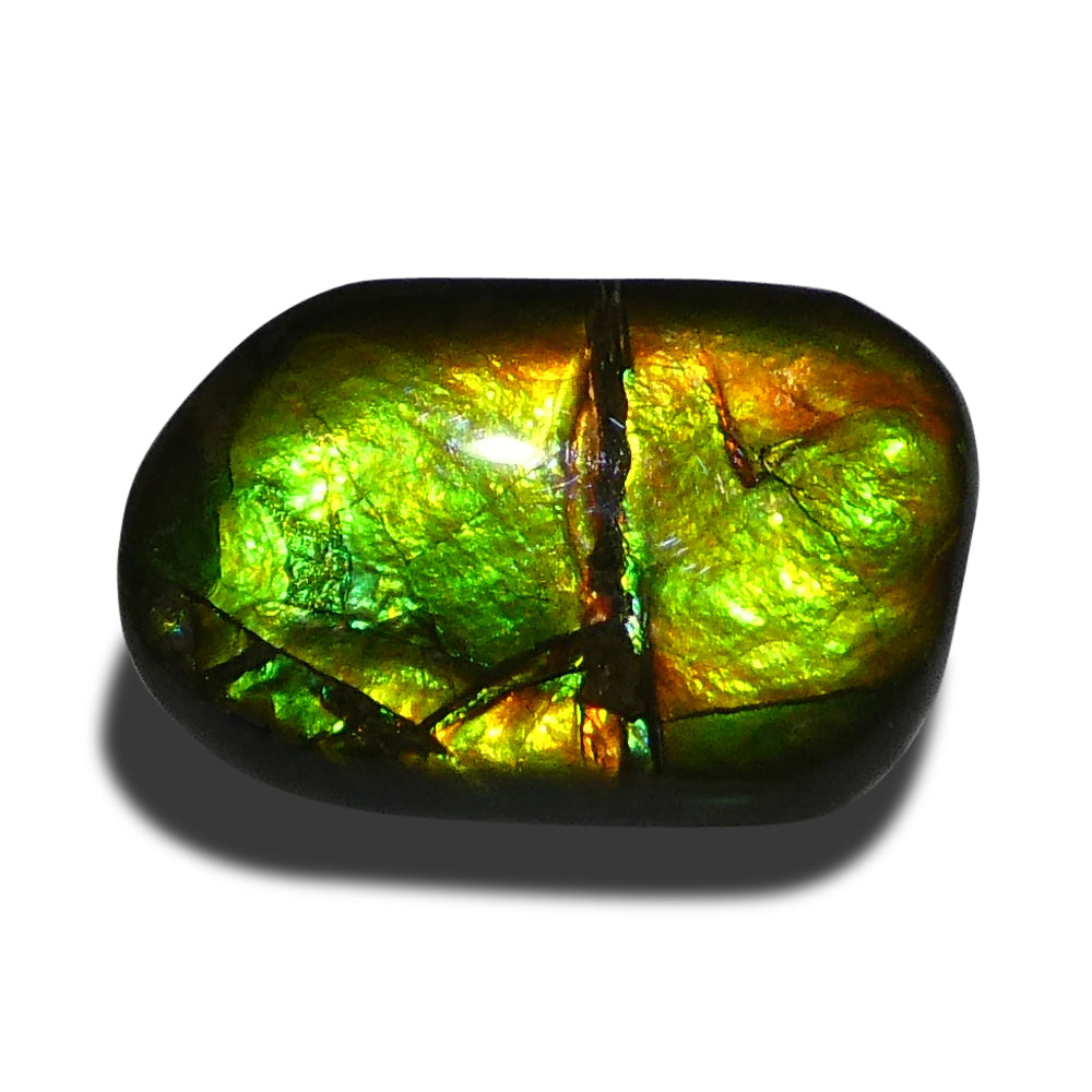 Ammolite 9.94 cts 18.16 x 13.10 x 5.00 Freeform Green, Yellow, Orange  $150