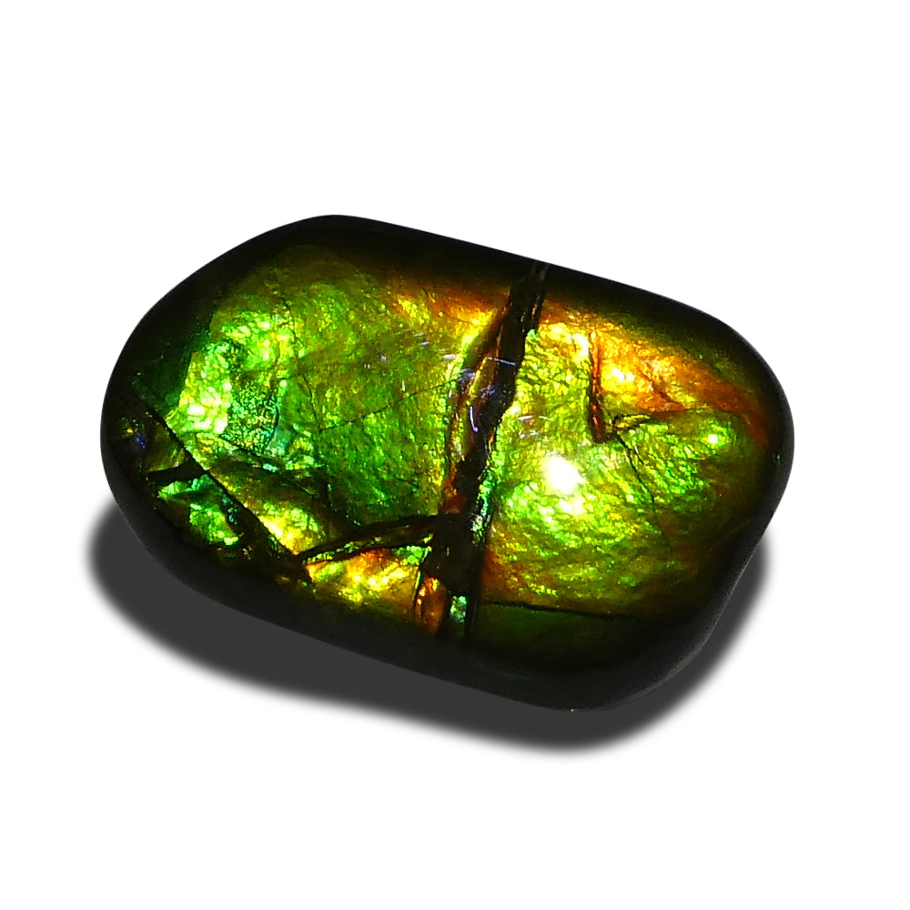 9.94ct Freeform A+ 3 Color Green, Yellow, Orange Ammolite from Alberta, Canada - Skyjems Wholesale Gemstones