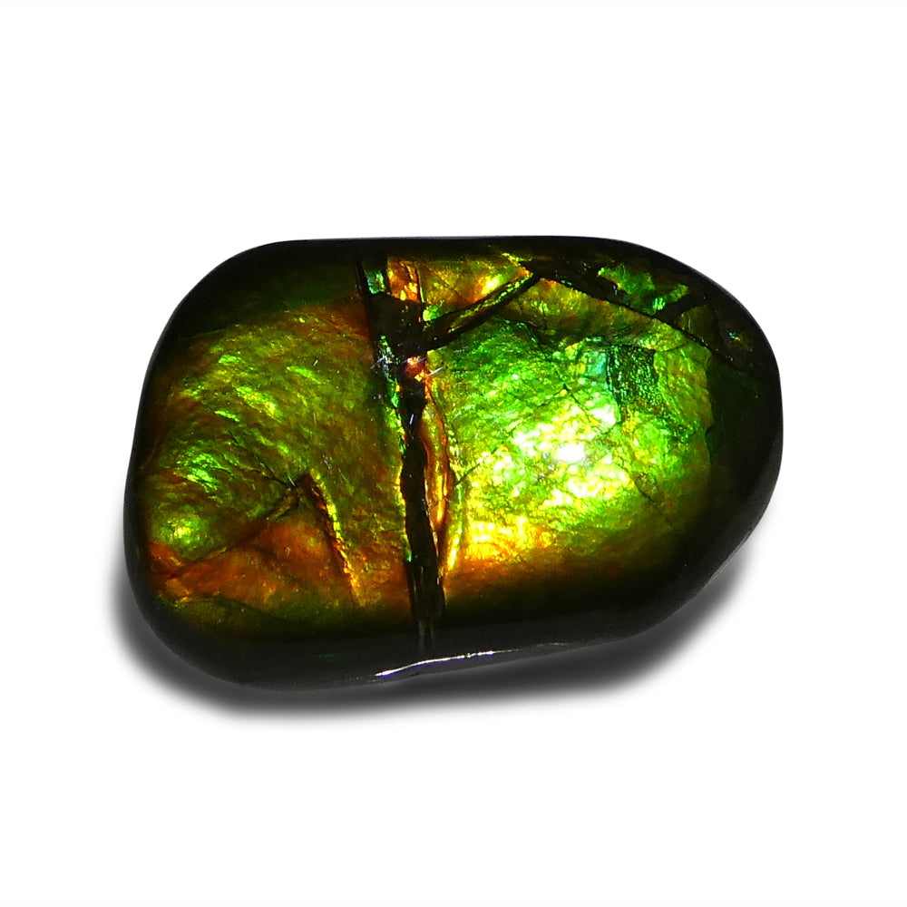 9.94ct Freeform A+ 3 Color Green, Yellow, Orange Ammolite from Alberta, Canada - Skyjems Wholesale Gemstones