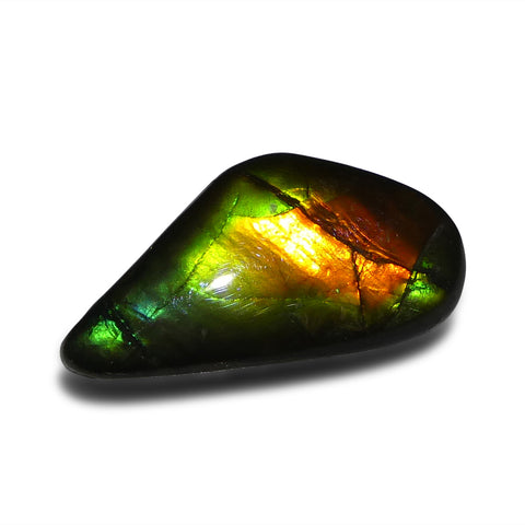 13.98ct Freeform A+ 3 Color Green, Red and Blue Ammolite from Alberta, Canada