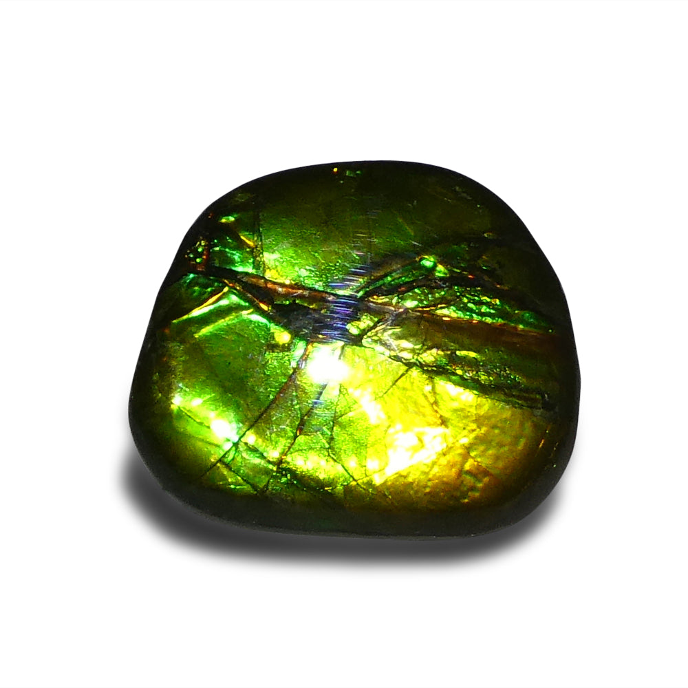 Ammolite 9.44 cts 18.76 x 15.91 x 4.07 Freeform Green, Yellow, Blue  $150