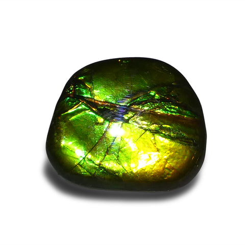 9.44ct Freeform A+ 3 Color Green, Yellow, Blue Ammolite from Alberta, Canada