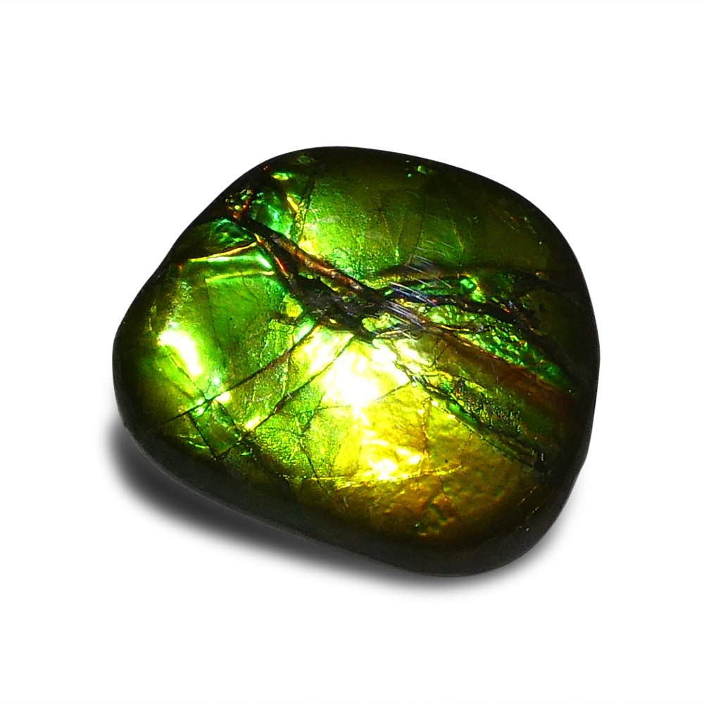 9.44ct Freeform A+ 3 Color Green, Yellow, Blue Ammolite from Alberta, Canada - Skyjems Wholesale Gemstones