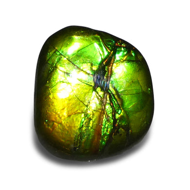 9.44ct Freeform A+ 3 Color Green, Yellow, Blue Ammolite from Alberta, Canada - Skyjems Wholesale Gemstones