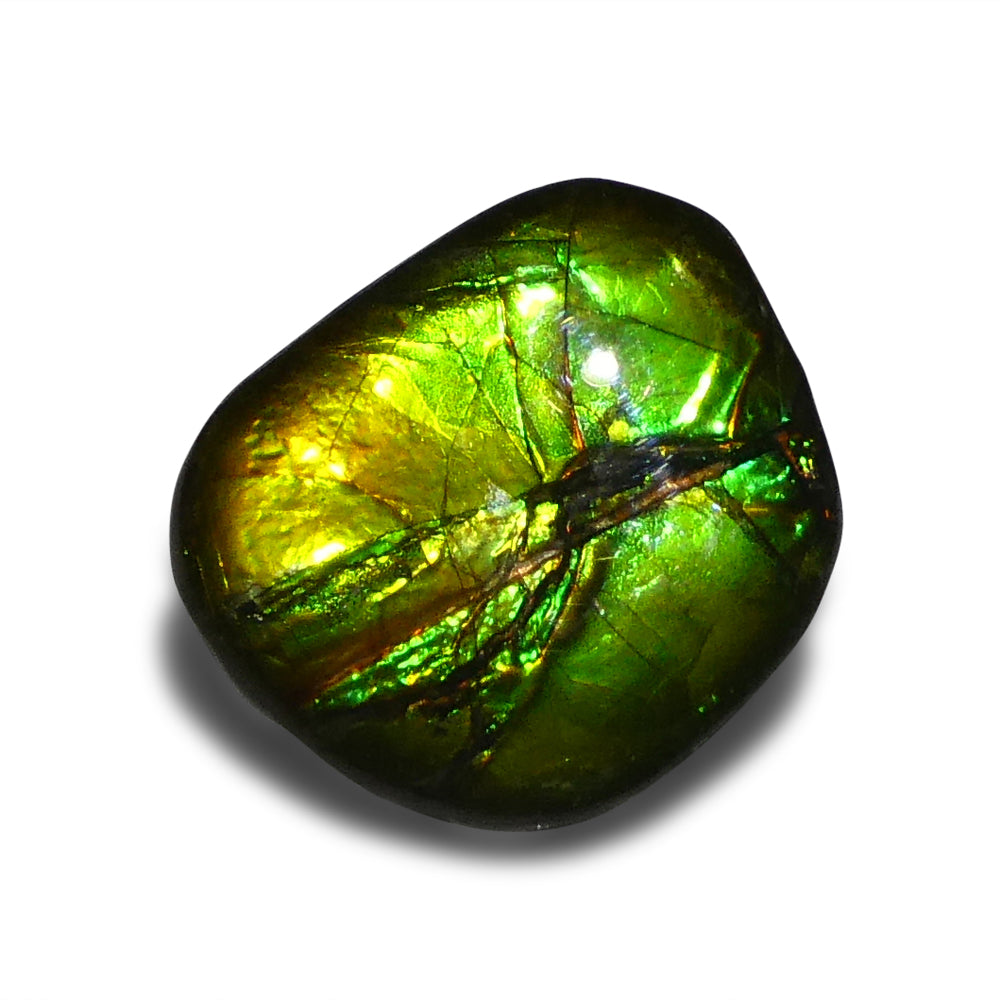 9.44ct Freeform A+ 3 Color Green, Yellow, Blue Ammolite from Alberta, Canada - Skyjems Wholesale Gemstones