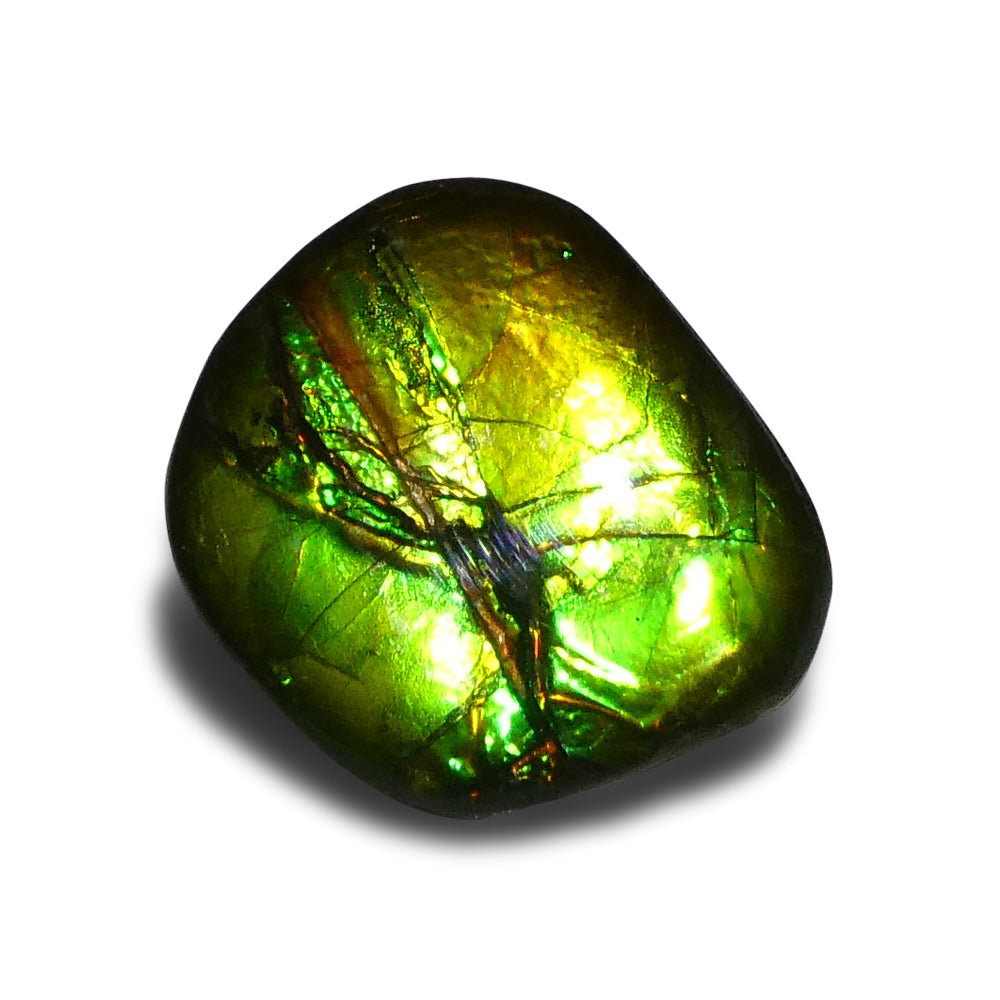 9.44ct Freeform A+ 3 Color Green, Yellow, Blue Ammolite from Alberta, Canada - Skyjems Wholesale Gemstones