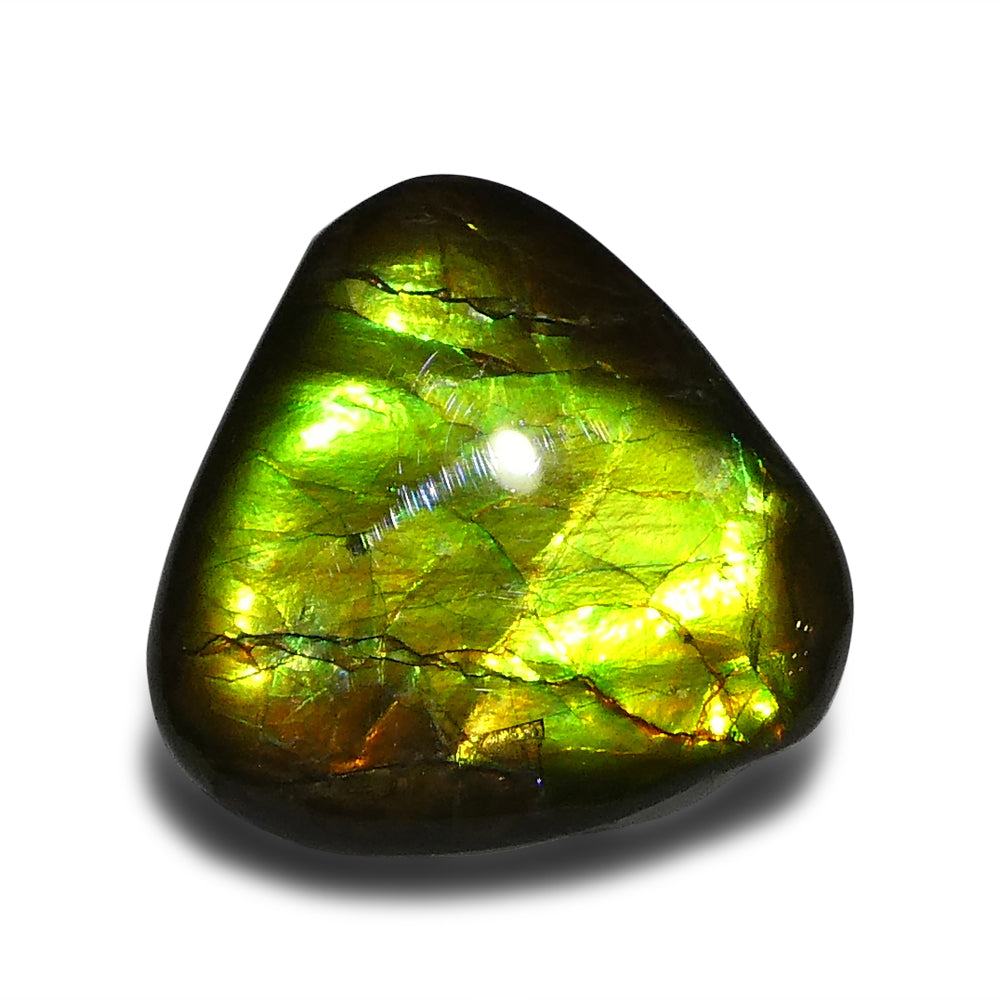 Ammolite 14.74 cts 18.34 x 18.58 x 5.62 Freeform Green, Yellow, Orange  $150