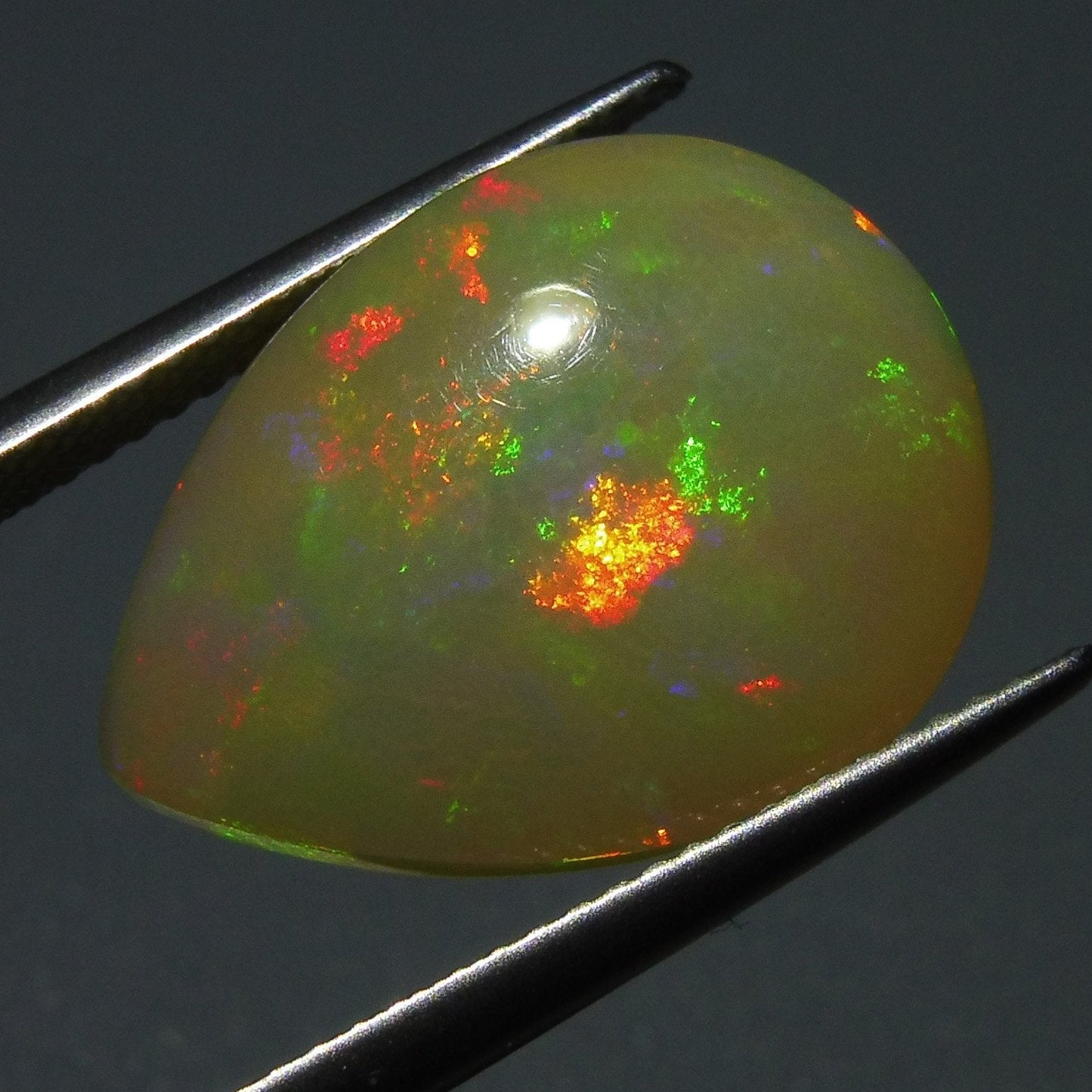 8.67 ct Pear Cabochon Opal - Skyjems Wholesale Gemstones