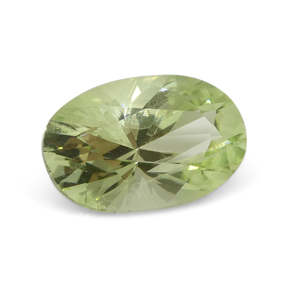 1.83ct Oval Mint Green Tsavorite Garnet from Tanzania, precision-cut gemstone by SkyJems Canadian gem specialists