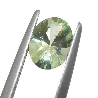 1.07ct Oval Green Mint Garnet from Tanzania - Skyjems Wholesale Gemstones