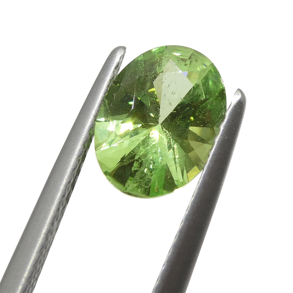 1.69ct Oval Green Mint Garnet from Tanzania - Skyjems Wholesale Gemstones