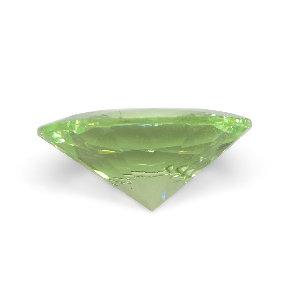 1.69ct Oval Mint Green Tsavorite Garnet from Tanzania, rare gemstone by SkyJems Canadian gem specialists