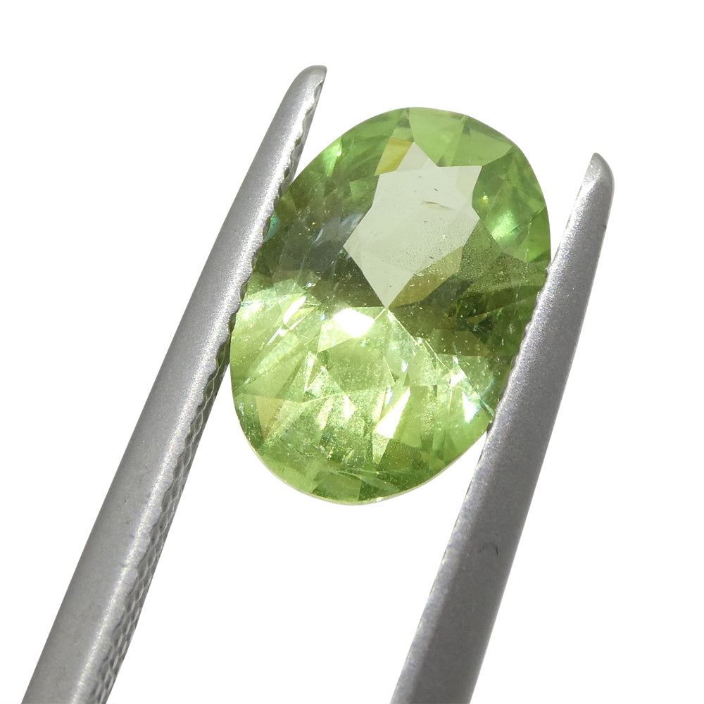 2.43ct Oval Green Mint Garnet from Tanzania - Skyjems Wholesale Gemstones