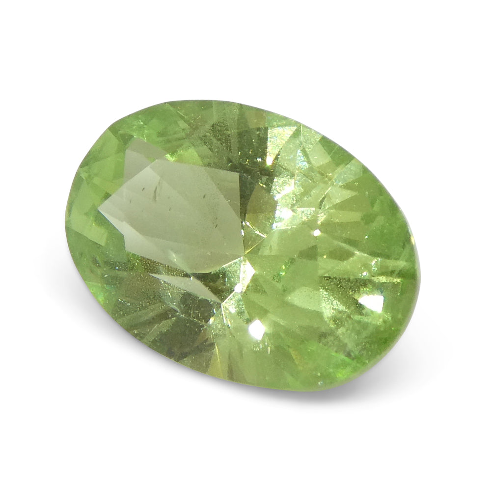 2.43ct Oval Green Mint Garnet from Tanzania - Skyjems Wholesale Gemstones