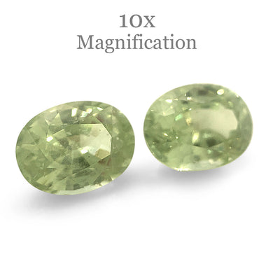 5.79ct Oval Mint Garnet Pair - Skyjems Wholesale Gemstones