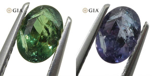 0.88ct Oval Blue-Green to Purple Alexandrite GIA Certified Brazil - Skyjems Wholesale Gemstones