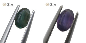 0.52ct Oval Bluish Green to Pinkish Purple Alexandrite GIA Certified India - Skyjems Wholesale Gemstones