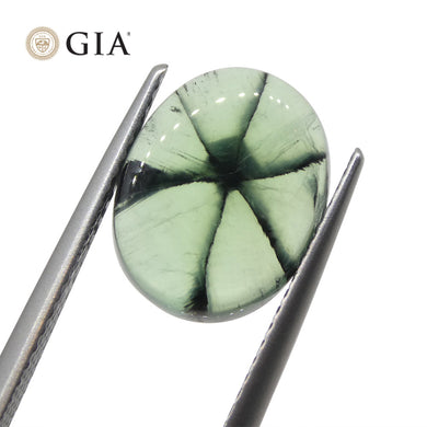 3.21ct Oval Green And Black Trapiche Emerald GIA Certified Colombia - Skyjems Wholesale Gemstones