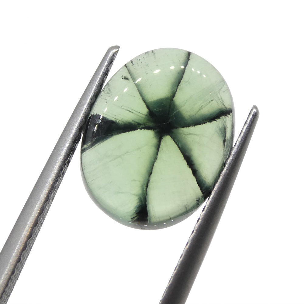 3.21ct Oval Green And Black Trapiche Emerald GIA Certified Colombia - Skyjems Wholesale Gemstones