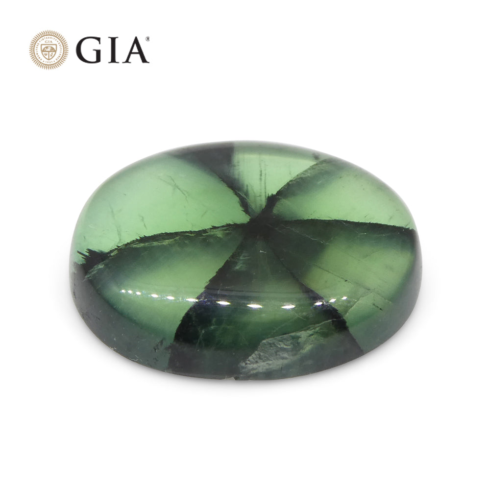 3.21ct Oval Green And Black Trapiche Emerald GIA Certified Colombia - Skyjems Wholesale Gemstones