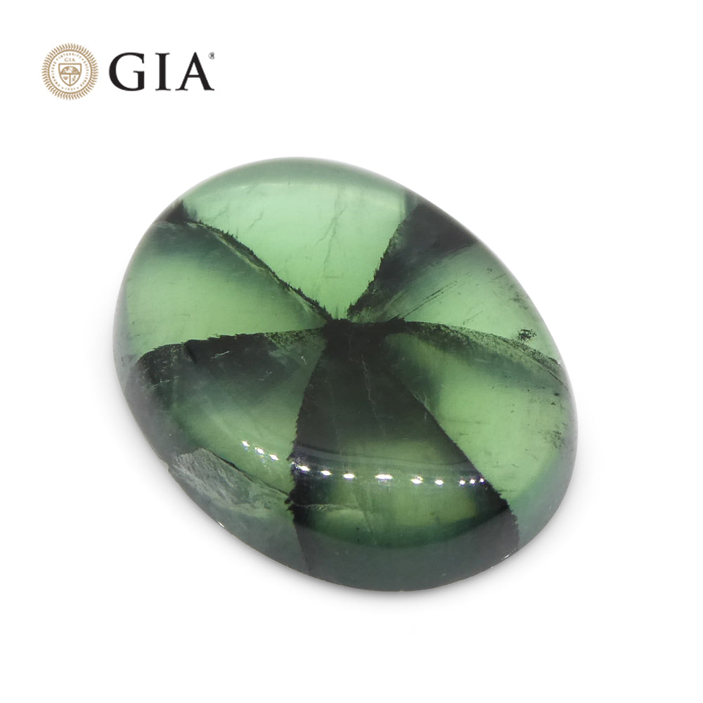 3.21ct Oval Green And Black Trapiche Emerald GIA Certified Colombia - Skyjems Wholesale Gemstones