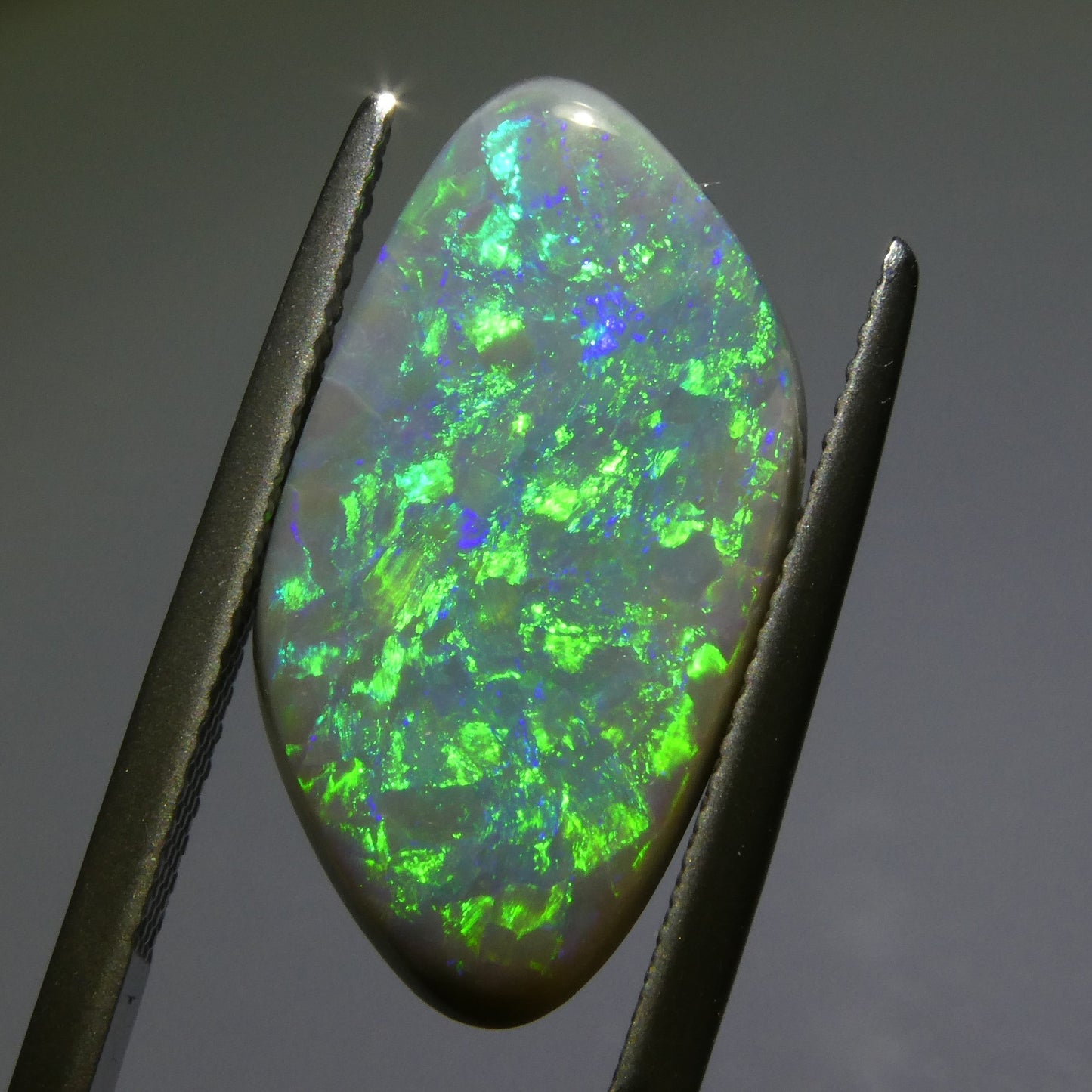 5.54ct Freeform Tablet Gray Opal GIA Certified Australia - Skyjems Wholesale Gemstones