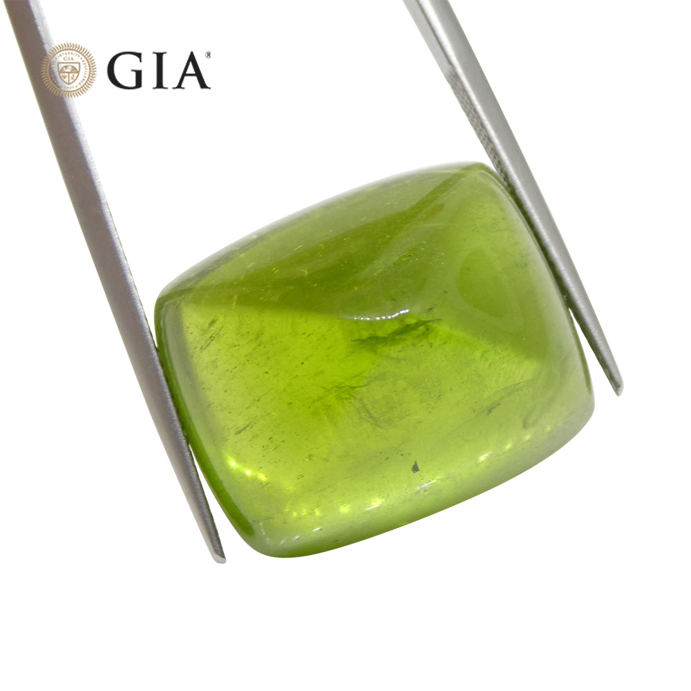 47.7ct Cushion Sugarloaf Cabochon Yellowish Green Peridot GIA Certified - Skyjems Wholesale Gemstones