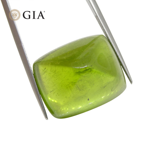 47.7ct Cushion Sugarloaf Cabochon Yellowish Green Peridot GIA Certified