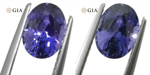 1.63ct Color Change Sapphire Oval GIA Certified Unheated, Sri Lanka, Vivid Violetish Blue to Purple - Skyjems Wholesale Gemstones