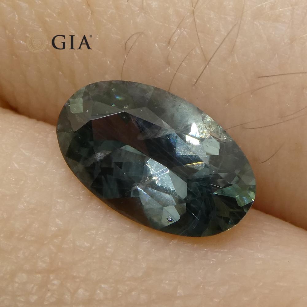 1.34ct Oval Greenish Gray Teal Sapphire GIA Certified USA (Montana) - Skyjems Wholesale Gemstones