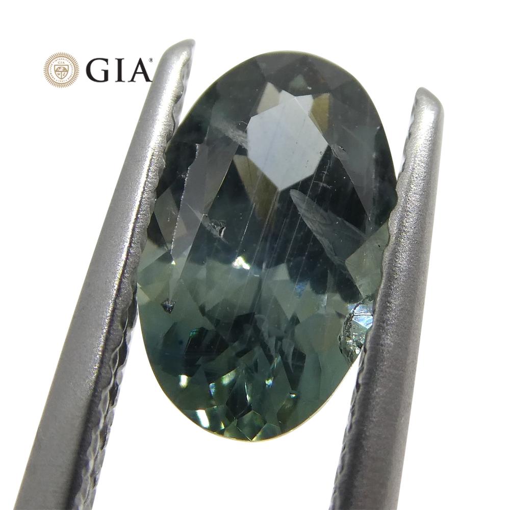 1.34ct Oval Greenish Gray Teal Sapphire GIA Certified USA (Montana) - Skyjems Wholesale Gemstones