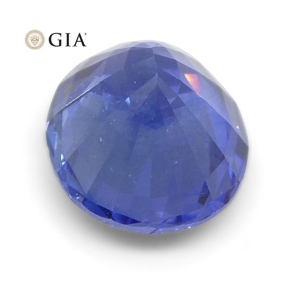 Vivid Blue Sapphire  1.15ct Oval GIA Certified Sri Lanka - Skyjems Wholesale Gemstones