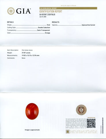 37.87ct Vivid Mandarin Orange Spessartine / Spessartite Garnet Oval Cabochon, GIA Certified