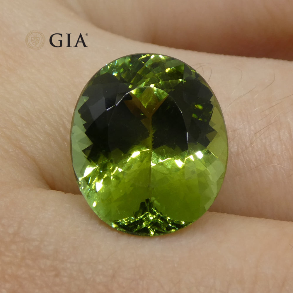 9.30ct Oval Verdelite Green Tourmaline GIA Certified - Skyjems Wholesale Gemstones