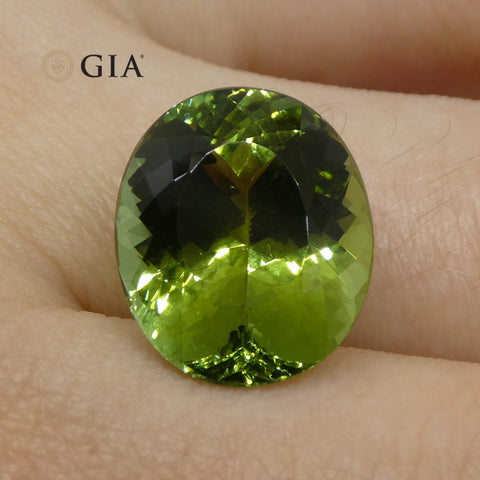 Master Cut 9.30ct Oval Mint Green Verdelite Tourmaline, GIA Certified