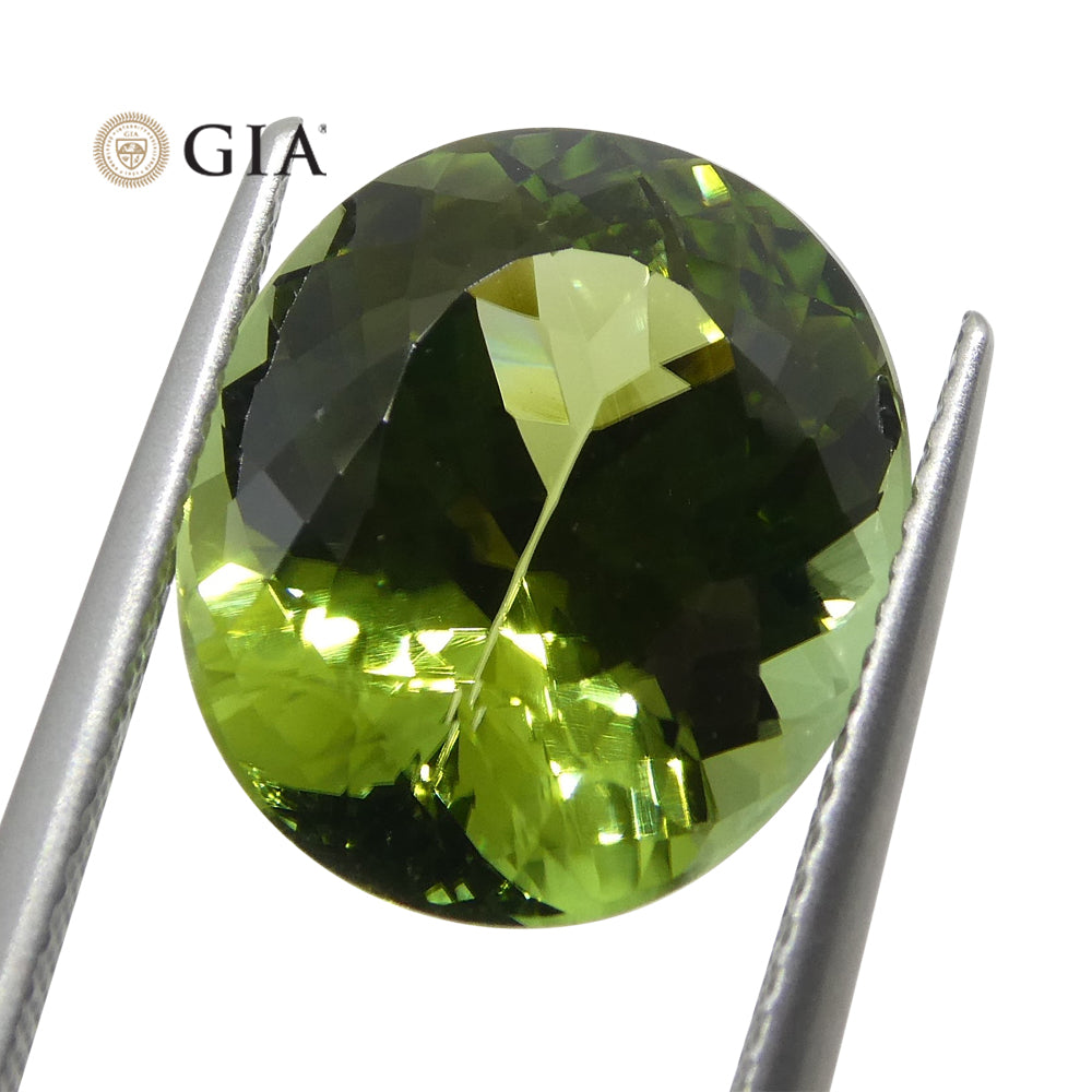 9.30ct Oval Verdelite Green Tourmaline GIA Certified - Skyjems Wholesale Gemstones