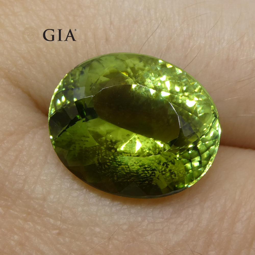 9.30ct Oval Verdelite Green Tourmaline GIA Certified - Skyjems Wholesale Gemstones