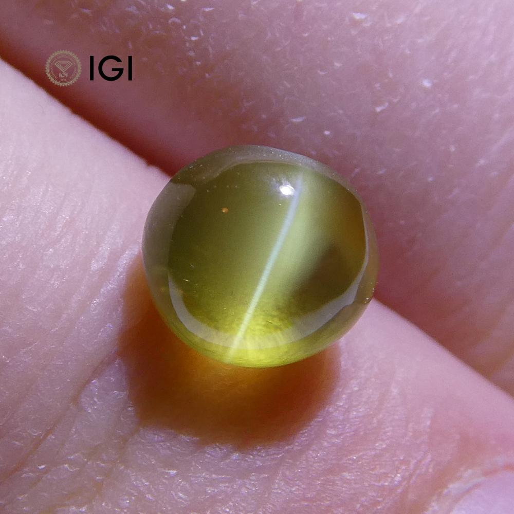 2.29 ct Cabochon Oval Chrysoberyl Cat's Eye IGI Certified - Skyjems Wholesale Gemstones