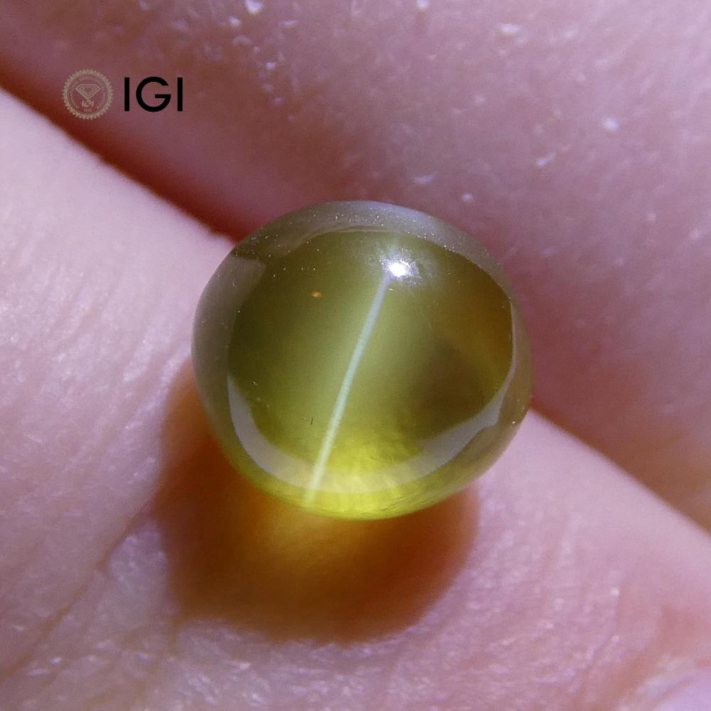 2.29 ct Cabochon Oval Chrysoberyl Cat's Eye IGI Certified - Skyjems Wholesale Gemstones