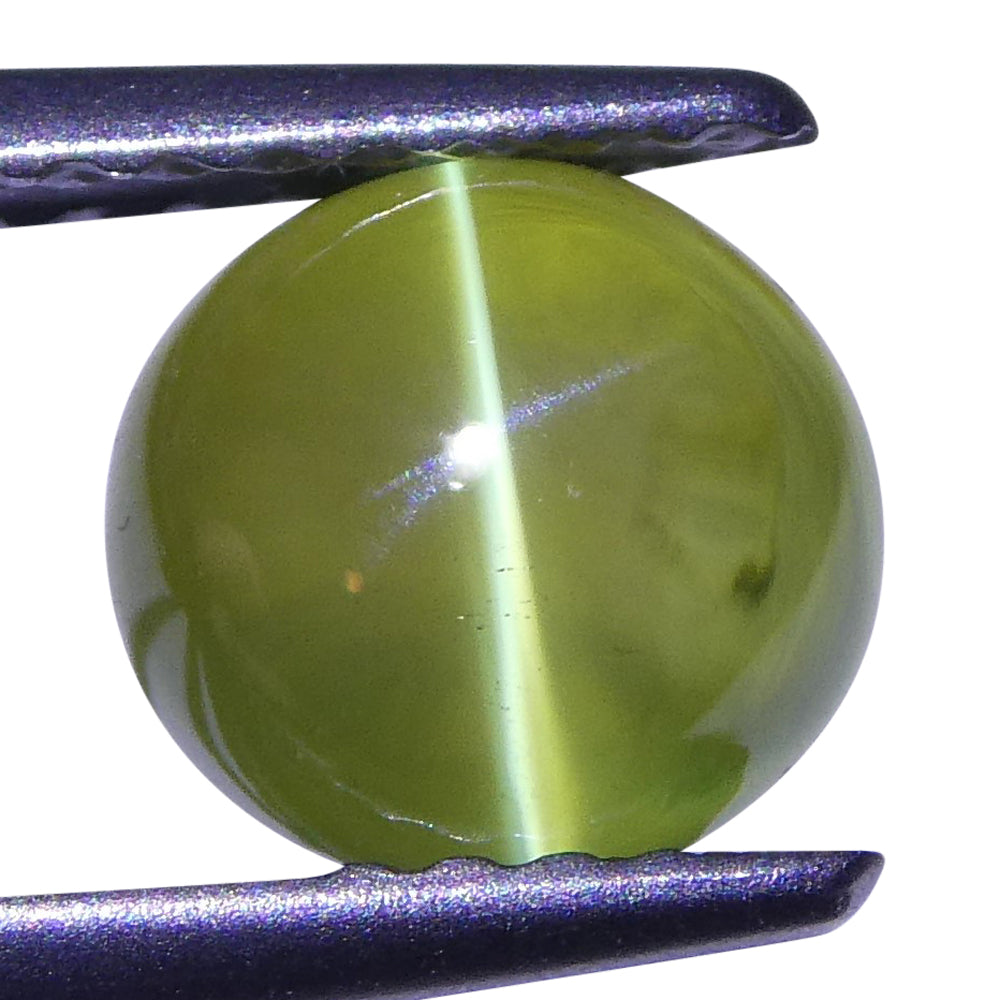 2.29 ct Cabochon Oval Chrysoberyl Cat's Eye IGI Certified - Skyjems Wholesale Gemstones