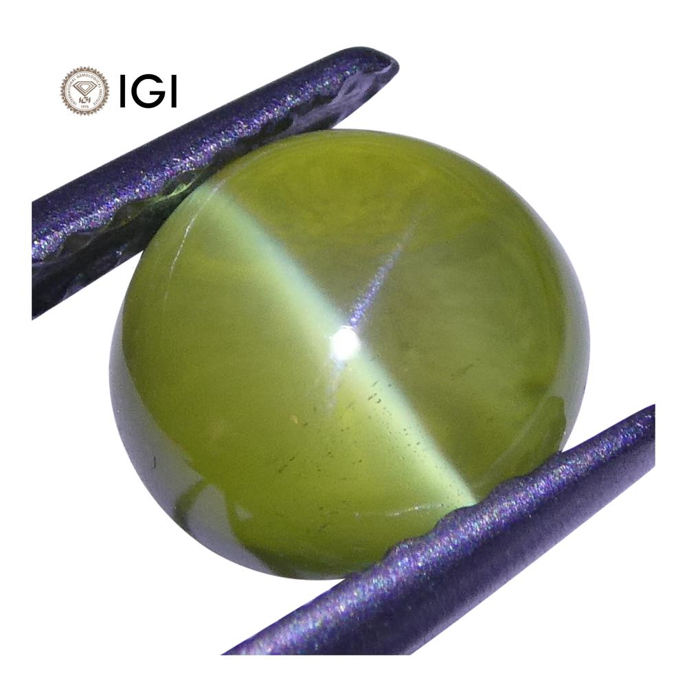 2.29 ct Cabochon Oval Chrysoberyl Cat's Eye IGI Certified - Skyjems Wholesale Gemstones