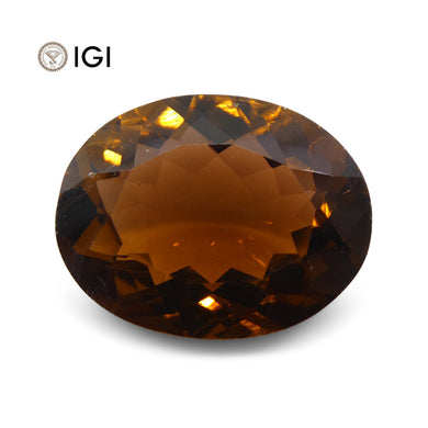 9.62 ct Tourmaline Oval IGI Certified - Skyjems Wholesale Gemstones