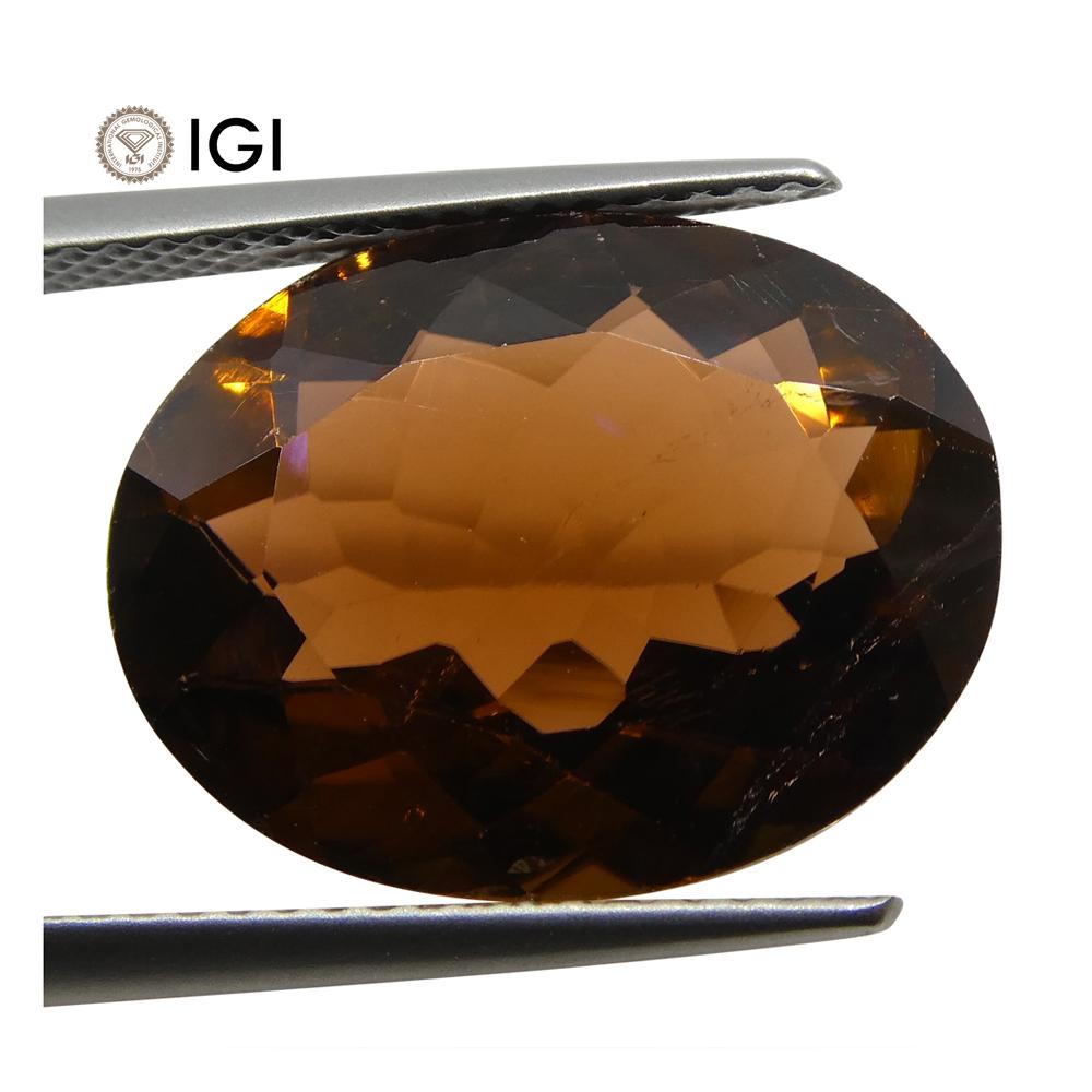 9.62 ct Tourmaline Oval IGI Certified - Skyjems Wholesale Gemstones