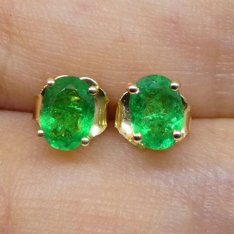 0.6ct Oval Green Colombian Emerald Stud Earrings set in 14k Yellow Gold